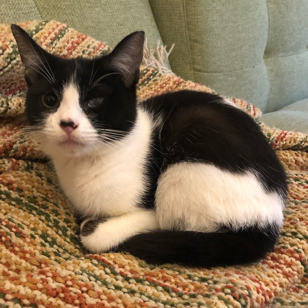 Meet your Posher, Katherine